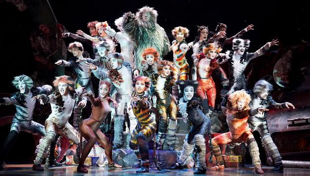 Котките без Златен Глобус