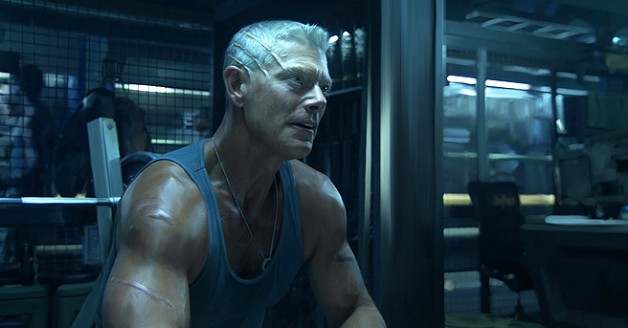 ������ ���� �� ������� � ������