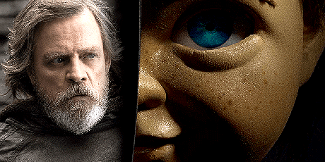 ���� ����� �������� ������� ����