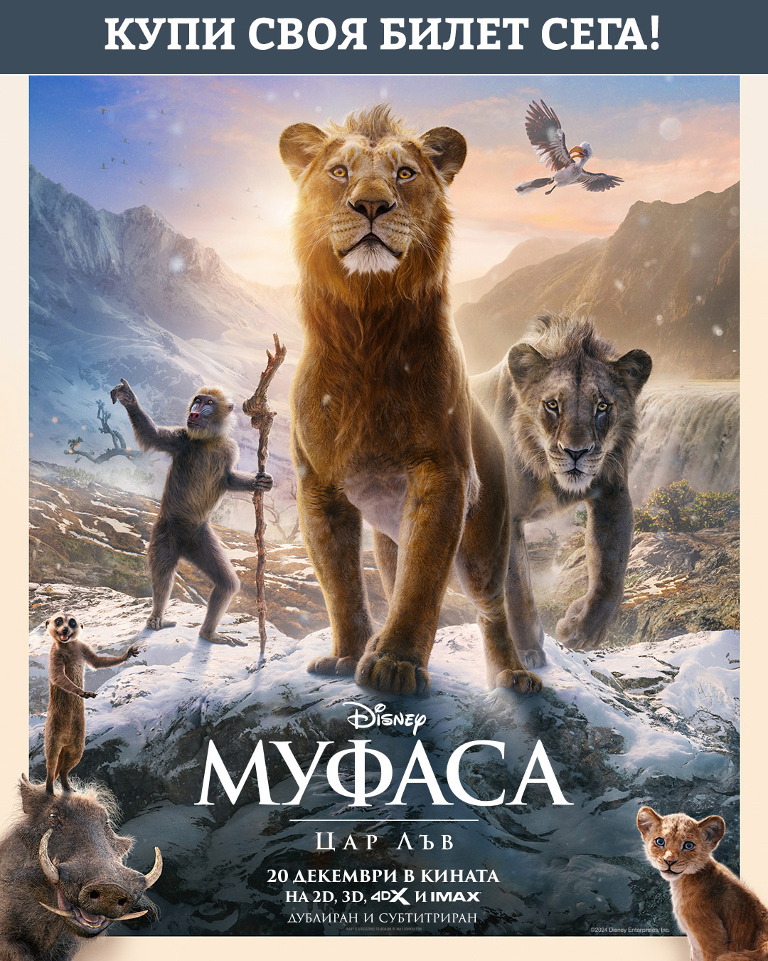 ������ ���� ����� �� �������: ��� ���