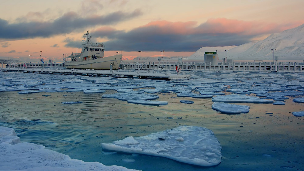 ����� �� ������