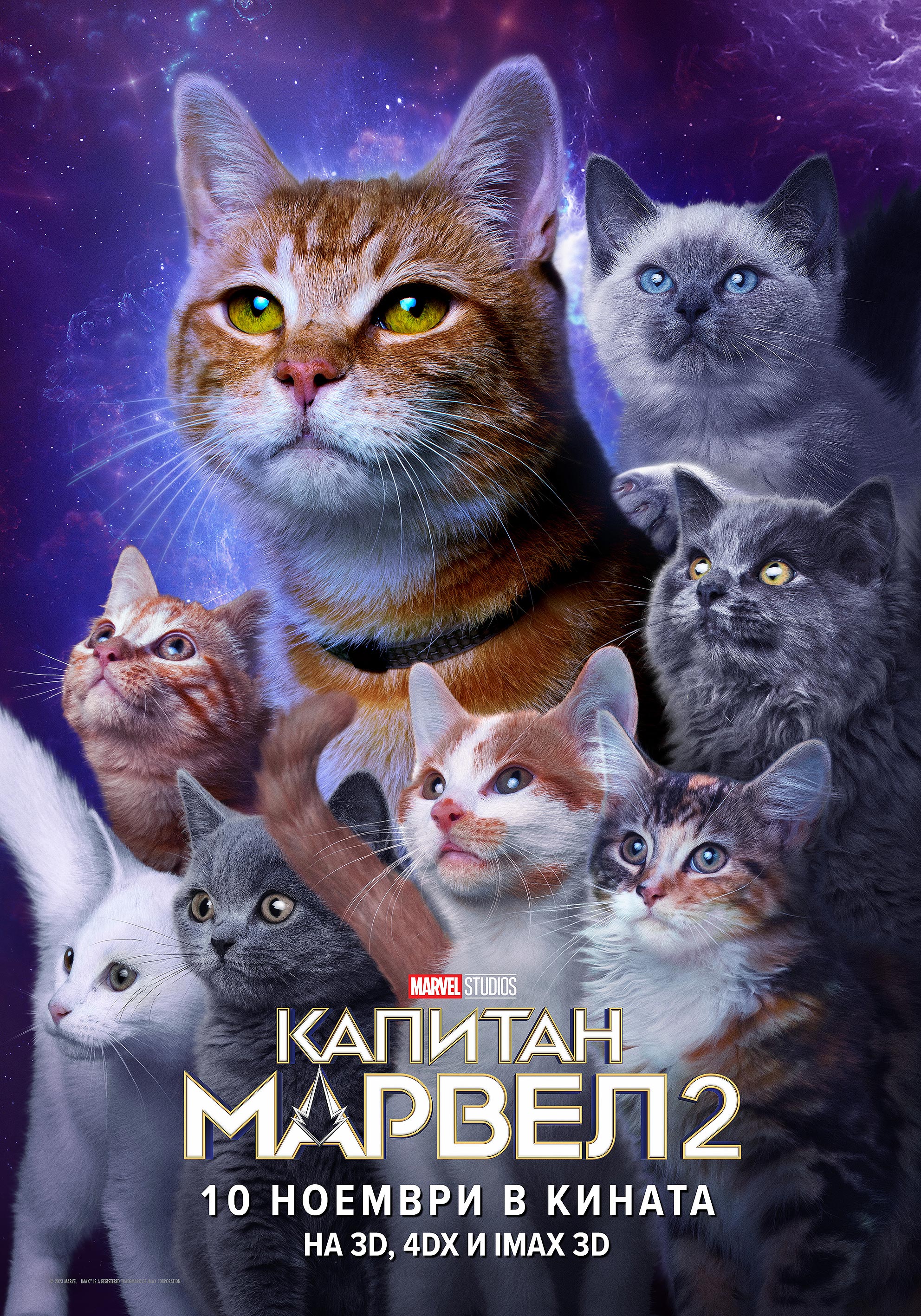 ����� �� �� ��������� ����������������� �������� ���� ����� �����.