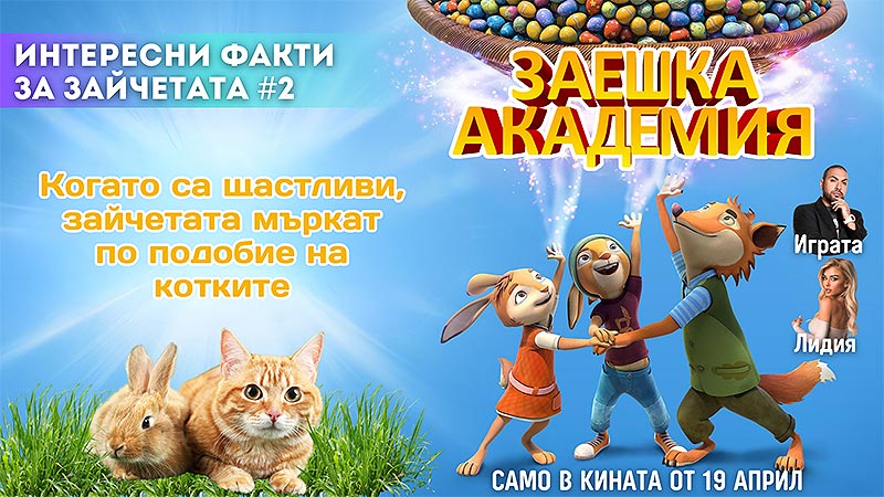 ���� � ��������� "��������� ����� �� ���������" #2