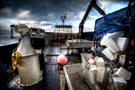 Discovery Channel ������� ����� 12-� ����� �� ������������ ����