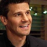 ������ - ������ ��� ��������, David Boreanaz