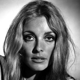 ������ - ����� ����, Sharon Tate