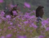 ������ ����� ������������ - �������� ����