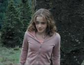 ������ ����� - ���� ����� � ����������� �� �������