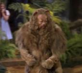 ����������� ��� - ����������� �� ��