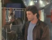 �������� �� ��� - ����� ����� ����