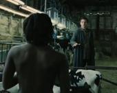 ��� � �������� - ������ �� ������