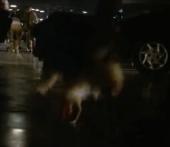 ���� �� ������ ������� - ���������