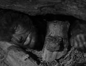 ����� ������� - ��� ���� � �� ������� ������ �����������