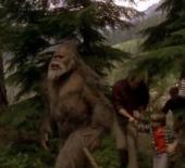 ������, �������� - ���� � ��������� ���������