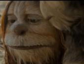 ��� � ���� ����� - ������ ������ ������ ����