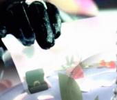 ��. 7 - ������ �� �������