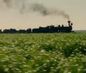 ���� �� ����� - ����� ����