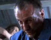 ����� - �������