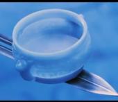 ����������� � ����� ������ - �����