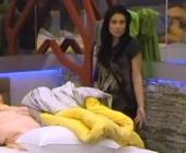 ��������� ������� �� ���� - ��� ������ All Stars