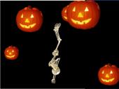 ����� - ������