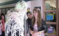  16 Wishes -   