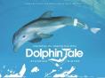 :    , A Dolphin's Tale