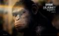 Галерия Възходът на планетата на маймуните - Тапети