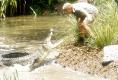  The Crocodile Hunter: Collision Course -   