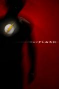  (2014), The Flash