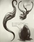  Untitled Neill Blomkamp/Alien Project - 