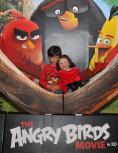 Галерия Angry Birds: Филмът - Промо