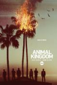 Animal Kingdom, Animal Kingdom