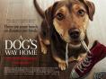   , A Dog's Way Home - , ,  - Cinefish.bg