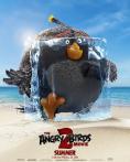  Angry Birds:  2 - 