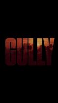  Gully - 
