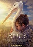 ������� � ���������, Storm Boy