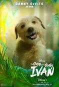������������ � ���������� �����, The One and Only Ivan - �����, ��������, ������ - Cinefish.bg