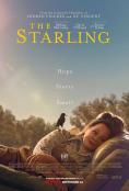 Скорец, The Starling