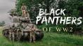 ������� ������� �� ������� �������� �����, Black Panthers of WW2
