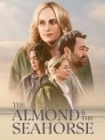 Бадемът и морското конче, The Almond and the Seahorse - филми, трейлъри, снимки - Cinefish.bg
