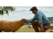 ���� ���������