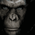 Галерия Възходът на планетата на маймуните - Икони