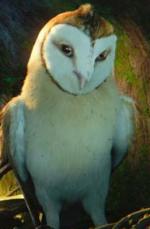   , Legend of the Guardians: The Owls of Ga'Hoole
