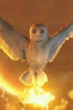   , Legend of the Guardians: The Owls of Ga'Hoole