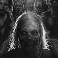     AMC      The Walking Dead