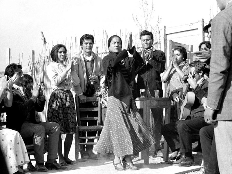 Испански фламенко страсти ще завладеят кино „Люмиер”