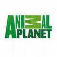     Animal Planet   1- 