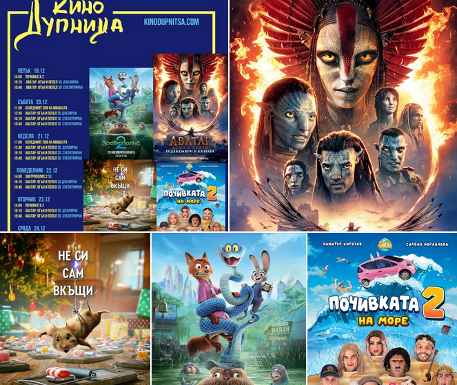 🎥 ���� �������� ����� �������' - 19.12 � 25.12.2025 �.