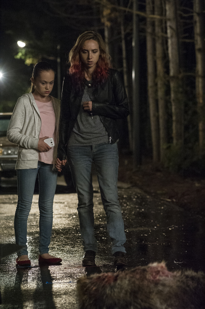 ����� ������� �� �����������